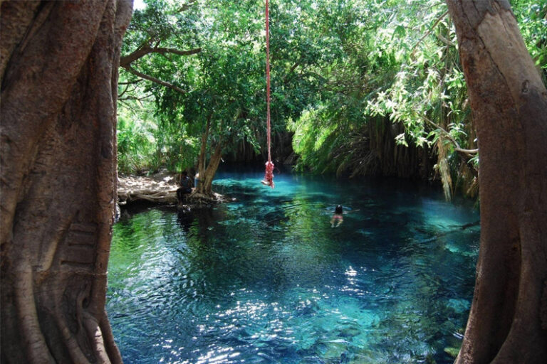 Untitled-1_0000s_0000_Layer 2_0000s_0000_Layer 6