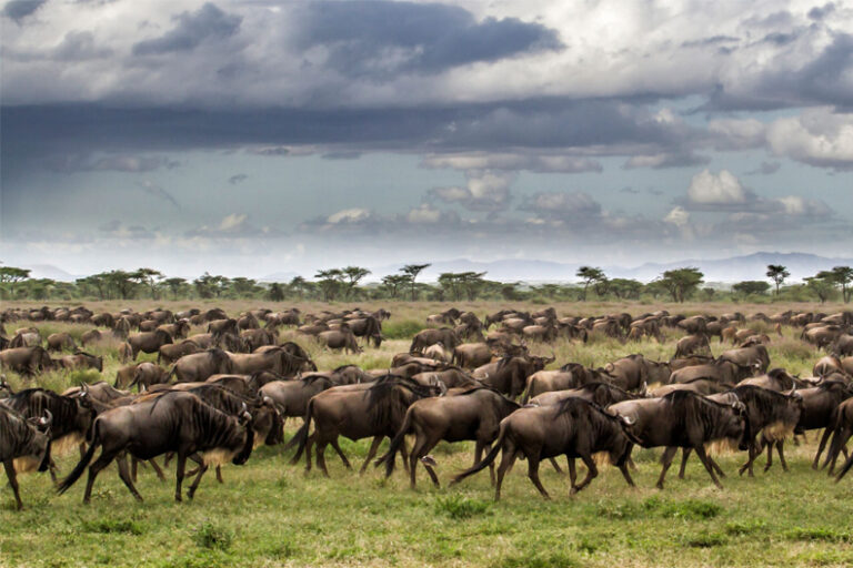 Untitled-1_0000s_0000_Layer 2_0000s_0001_Layer 11