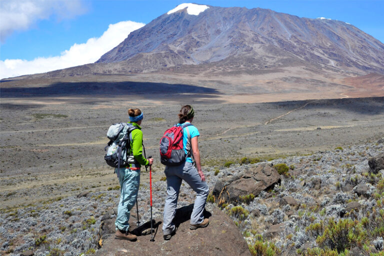 Untitled-1_0000s_0000_Layer 2_0000s_0001_Layer 2