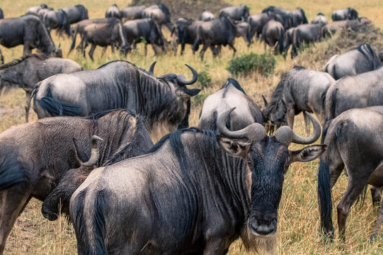 Untitled-1_0000s_0000_Layer 2_0000s_0002_Layer 10