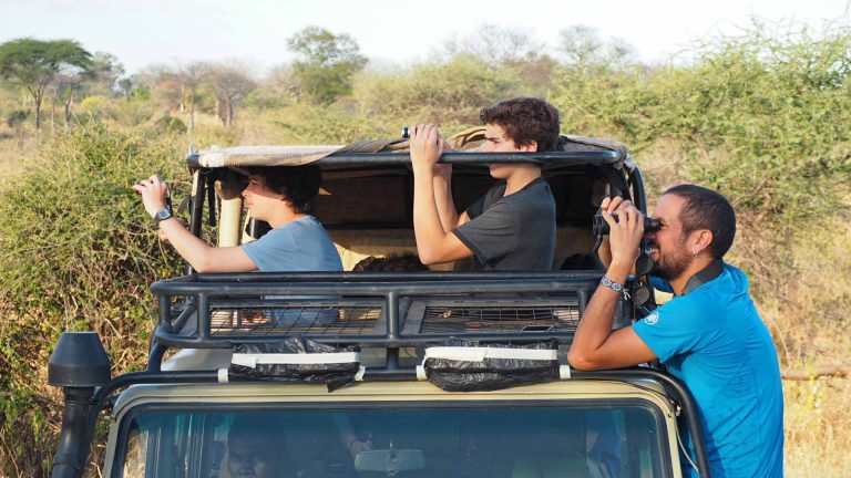 Untitled-1_0003_Concentration-in-the-safari-vehicle-e1516207298877