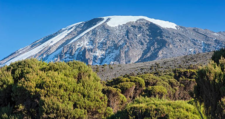 Untitled-1_0000_Layer 5