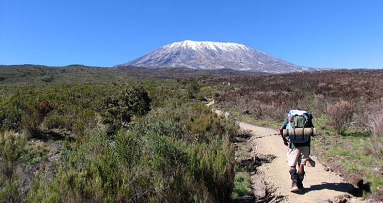 Untitled-1_0001_Layer 4