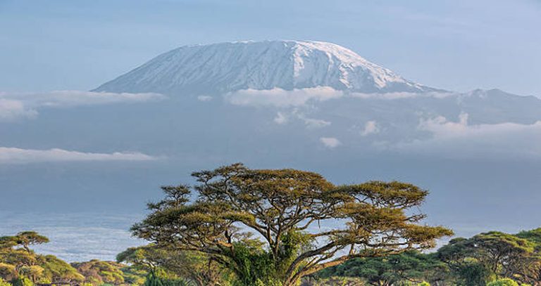 Untitled-1_0002_Layer 3