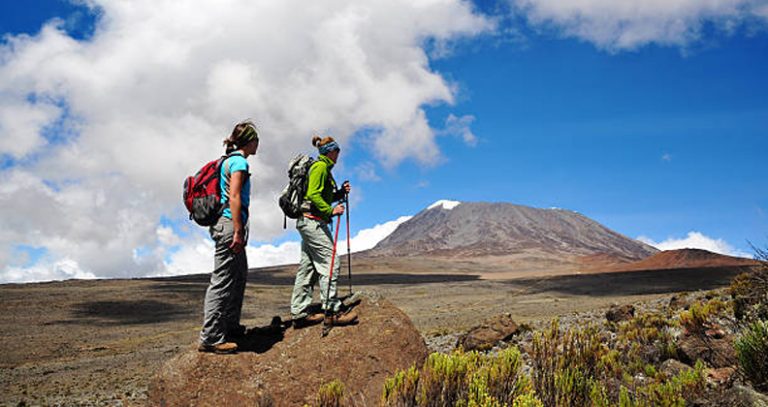 Untitled-1_0003_Layer 2