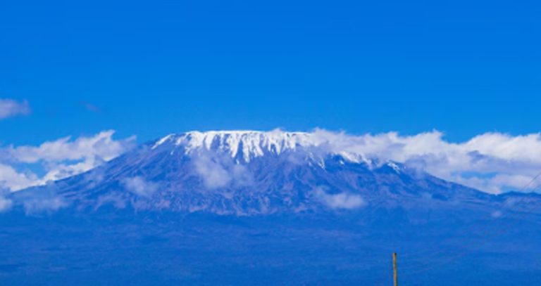 Untitled-2_0002_Layer 3