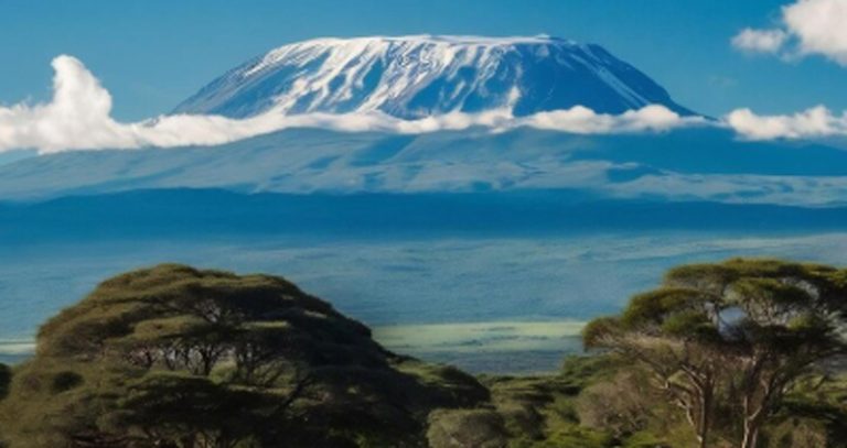 Untitled-2_0005_Background