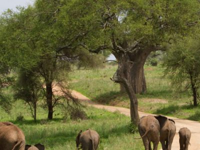 Untitled-1_0006_Layer 3