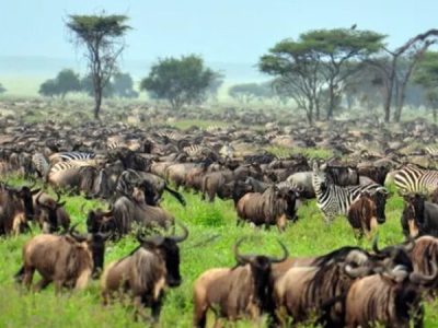 Untitled-1_0007_Layer 1